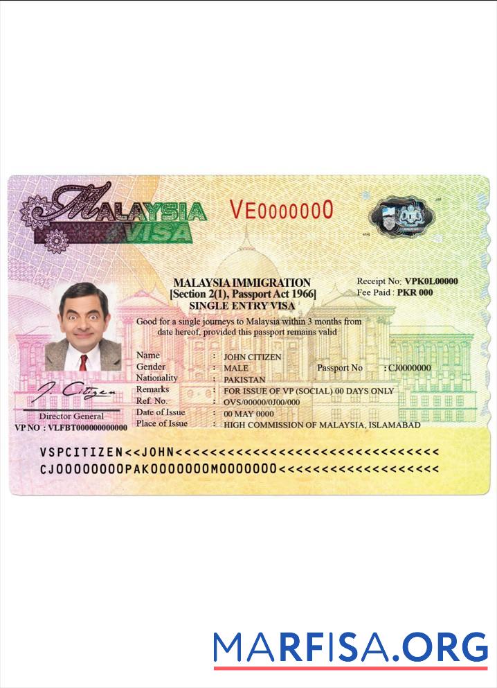 Realistic Malaysia Visa sample